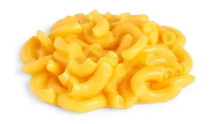 Nasco - Life/Form - WA13614 - Macaroni and Cheese Food Replica Life/form