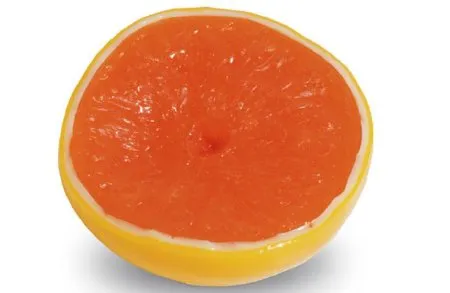 Nasco - Life/Form - W06635 - Gratefruit Food Replica Life/form