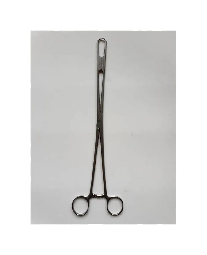 Aesculap - EO140R - Uterine Dressing Forceps Aesculap Abel 11 Inch Length Surgical Grade Stainless Steel Nonsterile Screw Lock Finger Ring Handle Straight