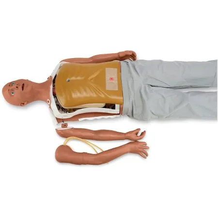 Nasco - Simulaids ALEX Lite - 101-7130M - Patient Communication Simulator Simulaids ALEX Lite Medium Skin Tone Male Full Body 45 lbs.