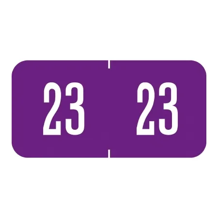 Tabbies - 94623 - Pre-printed Label Tabbies Chart Tab Purple 23/23 White Year 3/4 X 1-1/2 Inch