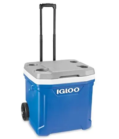 Uline - Igloo - H-7736 - Transport Cooler Igloo 12 X 16 X 17 Inch Interior, 17-1/4 X 19-3/4 X 21-1/2 Inch Exterior Dimensions 60 Quart