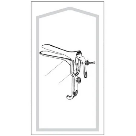 Sklar - Econo - 96-2607 - Vaginal Speculum Econo Graves Sterile Floor Grade Stainless Steel Large Double Blade Duckbill Disposable Without Light Source Capability