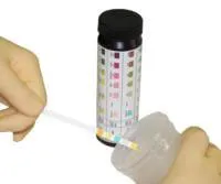 LW Scientific - Labstix - URS-05PR-7777 - Reagent Test Strip Labstix Blood  Glucose  Ketone pH  Protein For Urinalysis 100 per Bottle