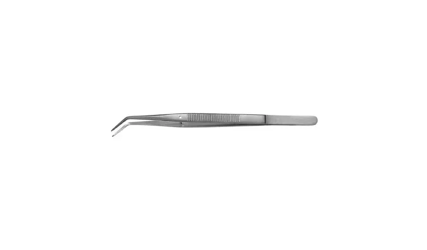 Integra Lifesciences - Padgett - PM-0300 - Dental Forceps Padgett Thrackray 6 Inch Length Surgical Grade Stainless Steel Nonsterile Nonlocking Thumb Handle Angled Serrated Jaws