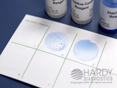 Hardy Diagnostics - ST1000 - Rapid Test Kit Staphtex™ Blue Latex Agglutination Test Staphylococcus Aureus Primary Culture Sample 1,000 Tests Clia Non-waived