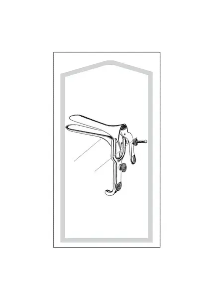Sklar - Econo - 96-3000 - Vaginal Speculum Econo Graves Sterile Floor Grade Stainless Steel Small Double Blade Duckbill Disposable Without Light Source Capability