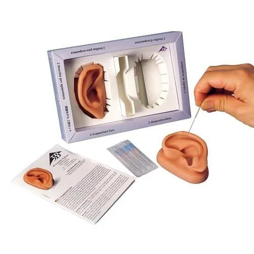 American 3B Scientific - From: N15/1L To: N15/1R  3B Acupuncture Ear, Left