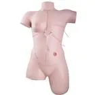American 3B Scientific - From: P11/1 To: P15  Patient Care Manikin Basic
