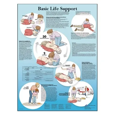 American 3B Scientific - From: VR1770L To: VR1770UU - Basic Life Support Chart_EN_L