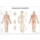 American 3B Scientific From: VR2820L To: VR2820UU - Acupuncture Corporelle Chart_FR_L Chart_fr_p_98x68