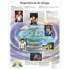 American 3B Scientific - From: VR5781L To: VR5781UU  Depend&ecirc;ncia de drogas Chart_PT_L