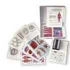 American 3B Scientific - From: W13830 To: W13830-2  Human and Animal Histology II, Student Package, German