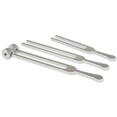 American 3B Scientific - From: W54060 To: W54062  Student grade tuning fork with weight (128 cps)