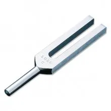 American Diagnostic From: 501024 To: 501024Q - Tuning Fork