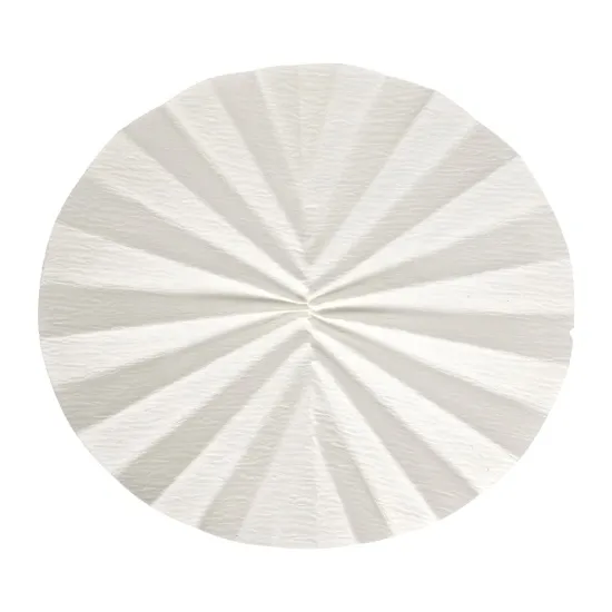 GE Healthcare - From: 10312244 To: 10312256 - Ge Healthcare Grade 598 &frac12; Qualitative Filter Paper Folded (Prepleated), 125 mm