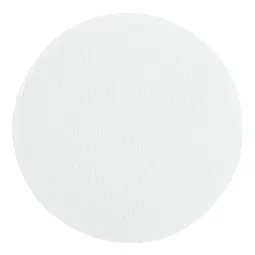 GE Healthcare - From: 1005-550 To: 10401306 - Ge Healthcare Filter Circles, 240mm Dia, Wet Strengthened Grade 588, 100/pk