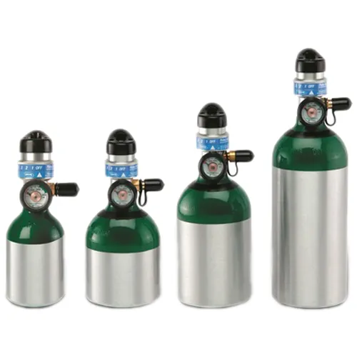 Invacare - HF2PCL4KIT - HomeFill Cylinder ML4 with Integrated Conserver and Carrying Bag