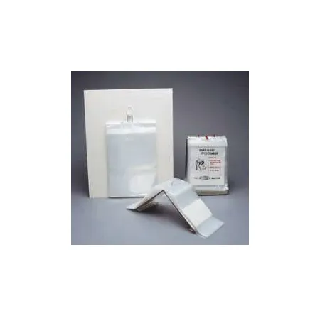 RD Plastics - Q358 - Pharmacy Bag Rd Plastics 4 X 6 Inch Clear Zip Closure
