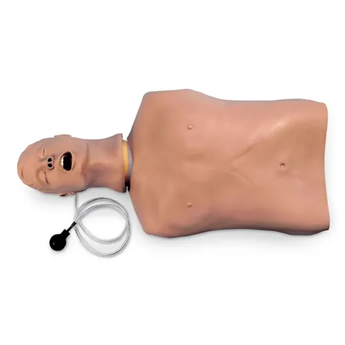 SAM Medical - From: LF03617U To: LF03956U - Bound Tree Medical Airway Mgmt Trainer Replacement Stomach