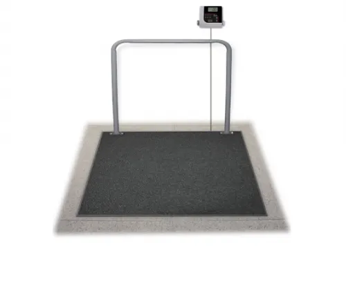 Sr Scales - FROM: SR463IR TO: SR463IR-PH - In Floor Platform Scale With Rotating Display