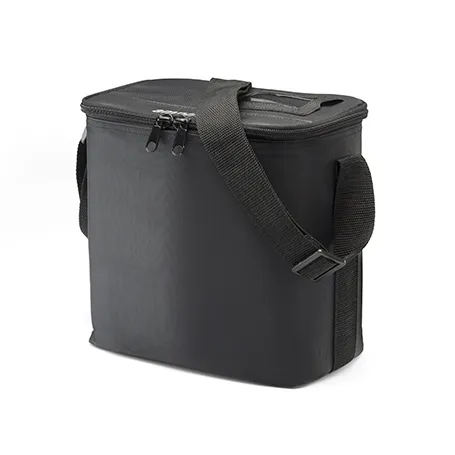 Welch Allyn - 39415 - Accessories: OAE Hearing Screener Carrying Case